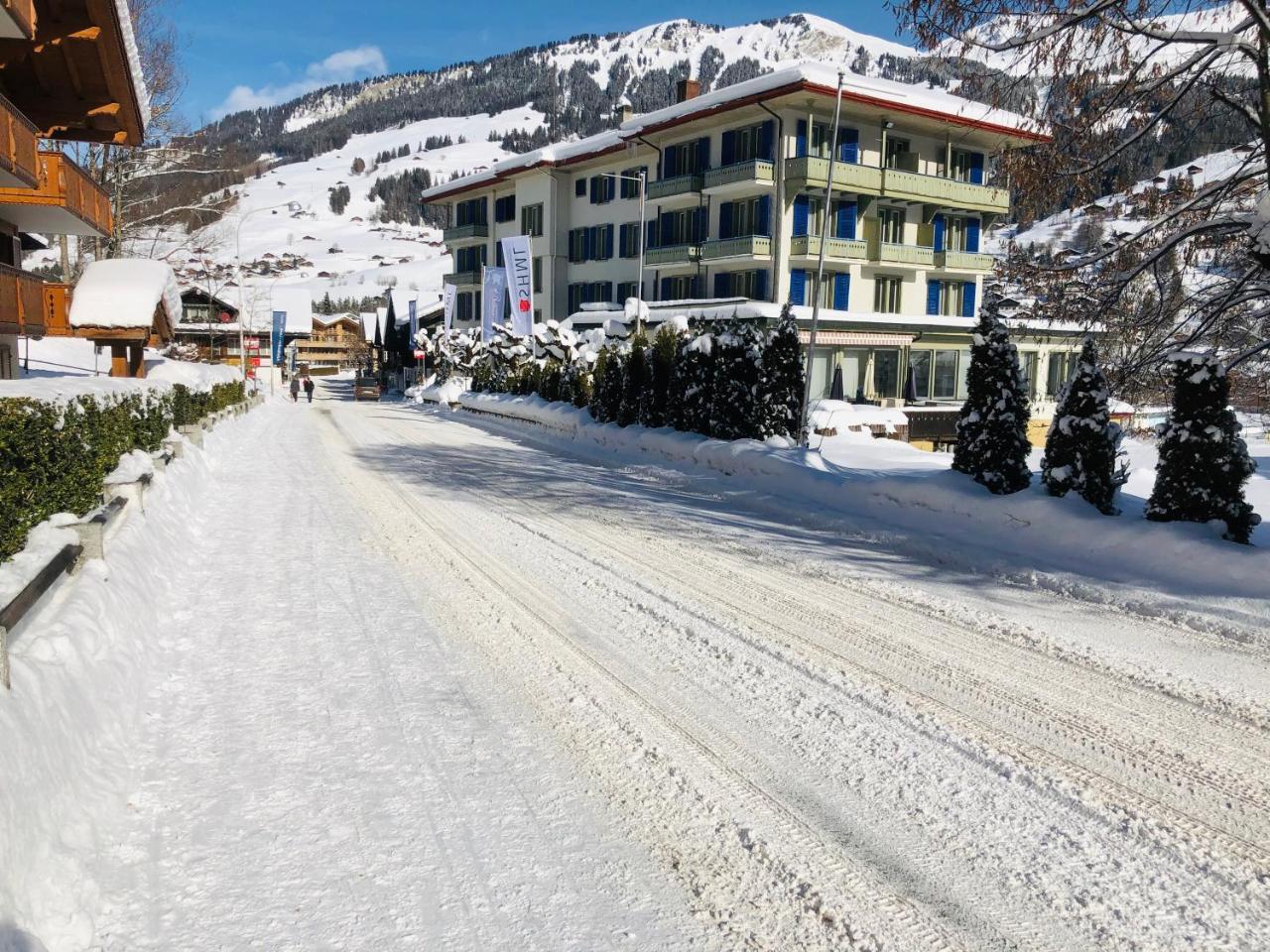 Parkhotel Bellevue Budget Lenk Exterior photo